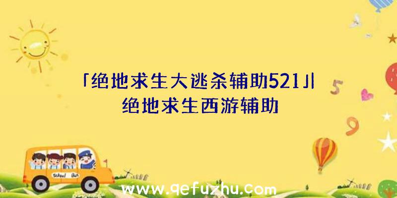 「绝地求生大逃杀辅助521」|绝地求生西游辅助